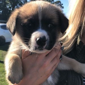 Meet your Posher, Nicholas